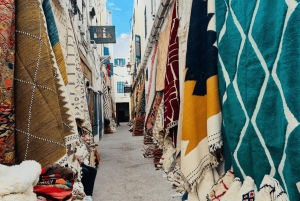 Marrakesh: Dagstur i lille gruppe til Essaouira, UNESCO og strand