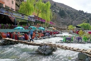 Marrakech: Small Group to Ourika Waterfalls tours,+ Lunch