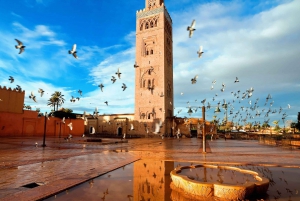 Tour de compras em Marrakech e Souk.