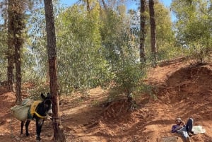 Marrakech: un día en la naturaleza con cerámica, paseo y piscina