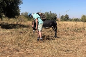 Marrakech: un día en la naturaleza con cerámica, paseo y piscina