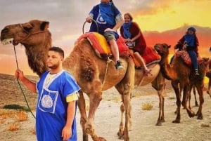 Marrakech: Sunrise Desert Tour with Camel Ride and Breakfast