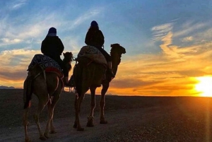 Marrakech: Sonnenaufgangs-Wüstentour mit Kamelritt und Frühstück