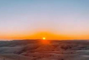 Marrakech: Sonnenaufgangs-Wüstentour mit Kamelritt und Frühstück