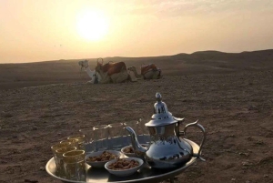 Marrakech: Sonnenaufgangs-Wüstentour mit Kamelritt und Frühstück