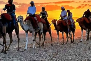 Марракеш: закат, катание на верблюде и роскошный ужин с огненным шоу