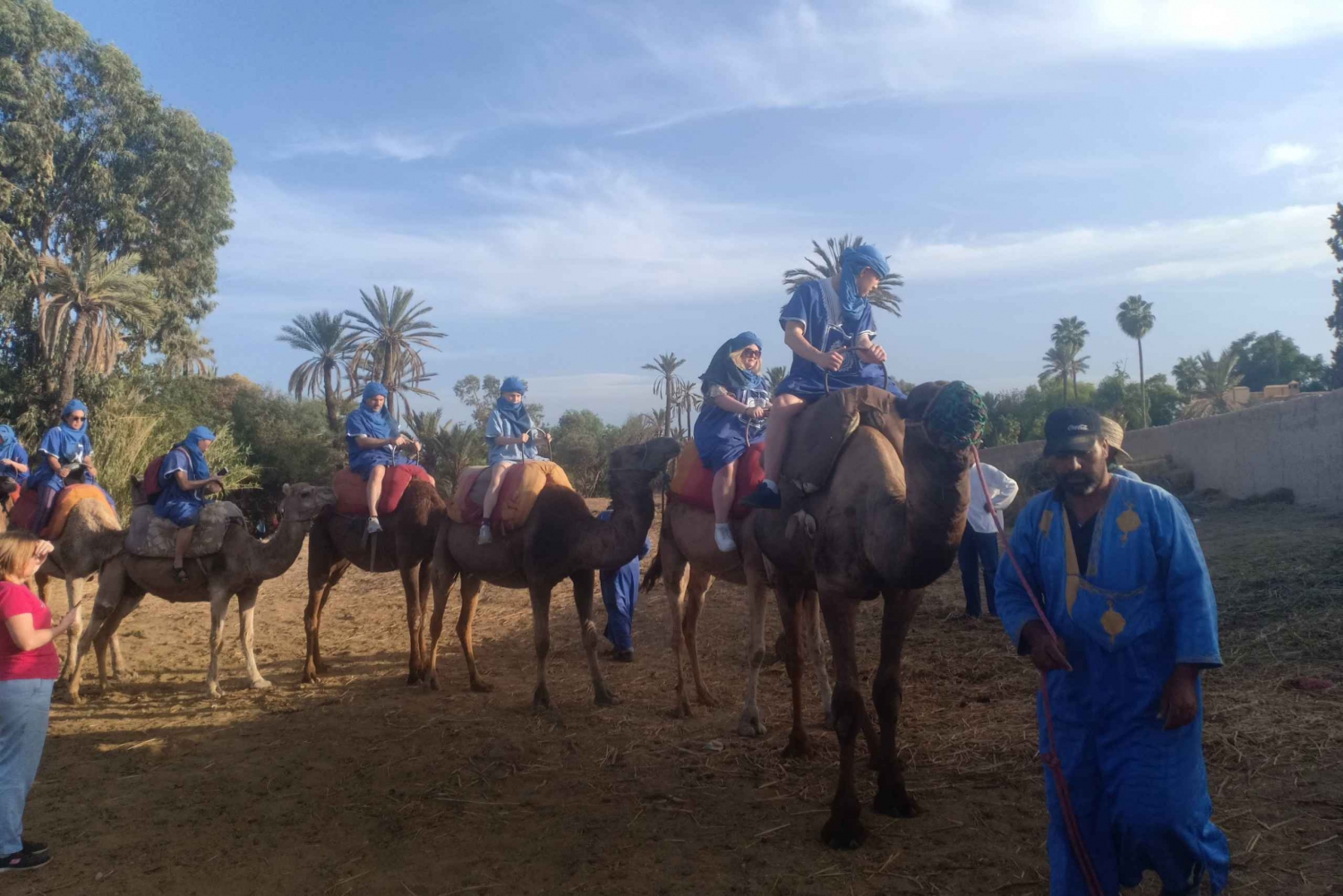 Marrakech: Sunset Camel Ride in the Palmeraie