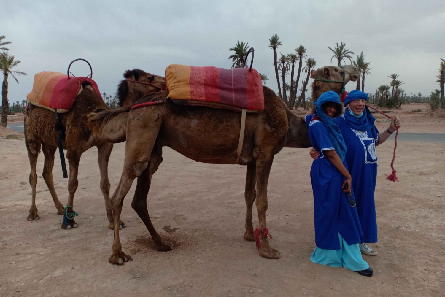 Marrakech: Palmeraie: Auringonlaskun kameliratsastus Palmeraie:ssa