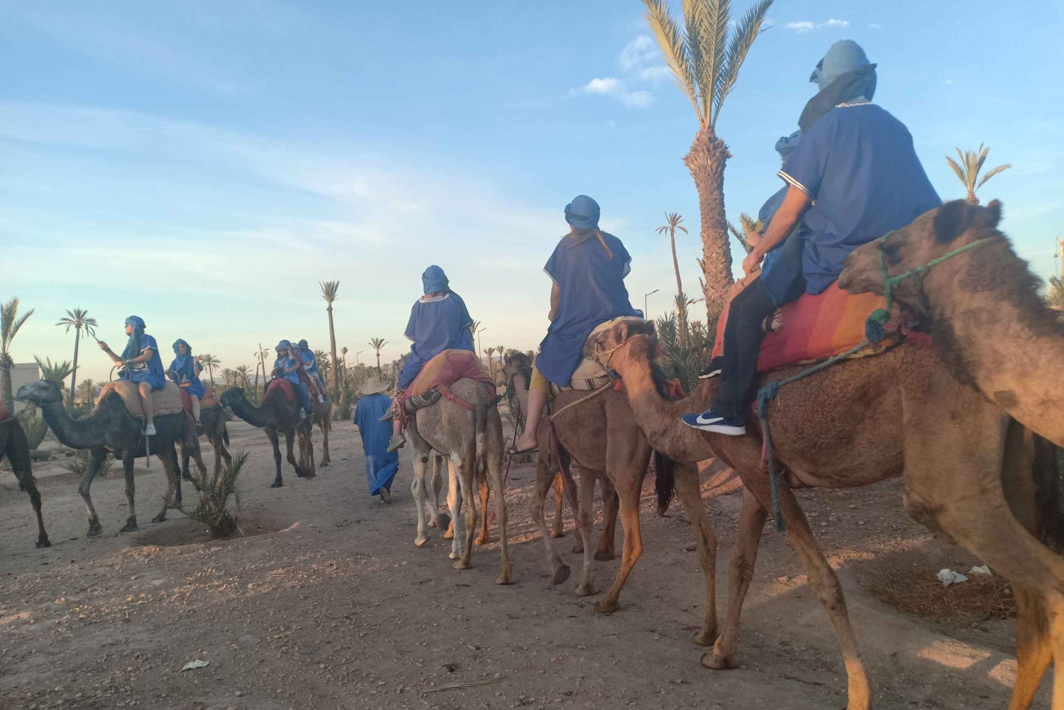 Marrakech: Sunset Camel Ride i Palmeraie