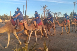 Marrakech: Sunset Camel Ride in the Palmeraie