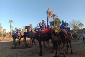 Marrakech: Sunset Camel Ride in the Palmeraie