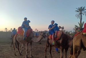 Marrakech: Sunset Camel Ride in the Palmeraie