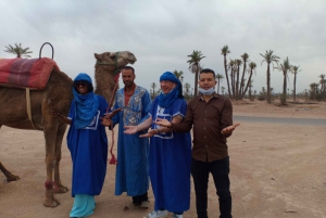 Marrakech: Sunset Camel Ride in the Palmeraie