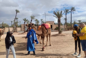 Marrakech: Sunset Camel Ride in the Palmeraie