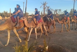 Marrakech: Sunset Camel Ride i Palmeraie