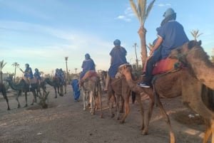 Marrakech: Sunset Camel Ride i Palmeraie