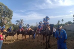 Marrakech: Sunset Camel Ride i Palmeraie