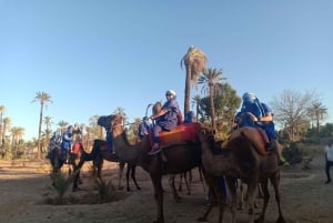 Marrakech: Sunset Camel Ride i Palmeraie
