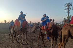 Marrakech: Sunset Camel Ride i Palmeraie