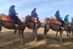 Marrakech: Sunset Camel Ride i Palmeraie