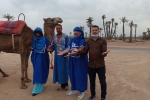 Marrakech: Sunset Camel Ride i Palmeraie