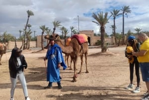 Marrakech: Sunset Camel Ride i Palmeraie