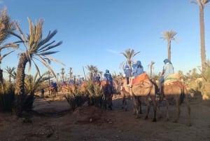 Marrakech: Sunset Camel Ride i Palmeraie