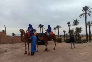 Marrakech: Sunset Camel Ride i Palmeraie