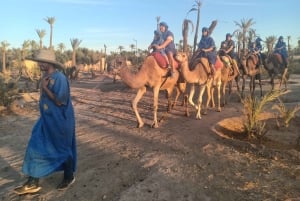Marrakech: Sunset Camel Ride i Palmeraie