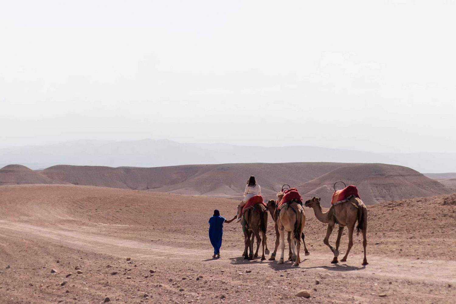 Marrakech: Sunset Camel Ride
