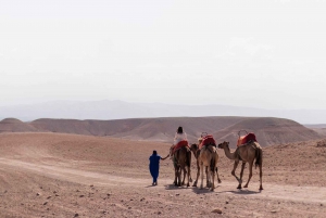 Marrakech: Upplevelse av kamelridning i Agafay-öknen