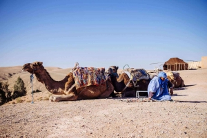 Marrakech: Kameltur-oplevelse i Agafay-ørkenen