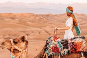Marrakech: Solnedgångsmiddag i Agafayöknen med kamelritt
