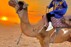 Marrakech : Dîner au Coucher du Soleil avec Spectacle de Feu