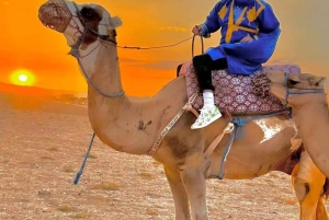 Marrakech : Dîner au Coucher du Soleil avec Spectacle de Feu