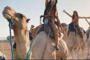 Marrakech: Agafay Desert Camel Ride Diner Show Dance Berber