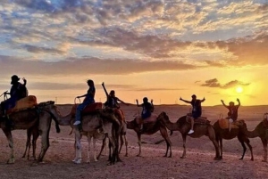 Marrakech: Agafay Desert Camel Ride Diner Show Dance Berber