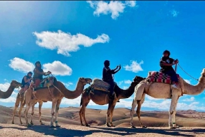 Marrakech: Agafay Desert Camel Ride Diner Show Dance Berber