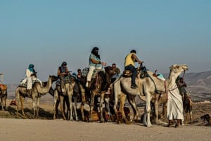 Marrakech: Agafay Desert Camel Ride Diner Show Dance Berber