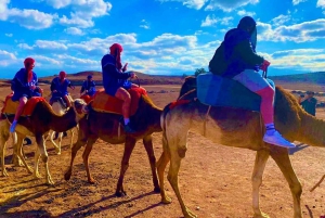 Marrakech: Agafay Desert Camel Ride Diner Show Dance Berber