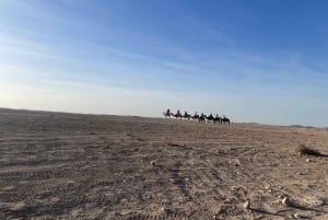 Marrakech: Agafay Desert Camel Ride Diner Show Dance Berber