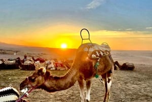 Marrakech: Agafay Desert Camel Ride Diner Show Dance Berber