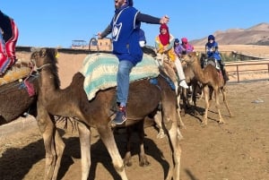 Marrakech: Agafay Desert Camel Ride Diner Show Dance Berber