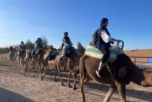 Marrakech: Agafay Desert Camel Ride Diner Show Dance Berber