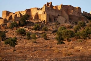 Marrakech: dagtrip naar Taroudant met lunch