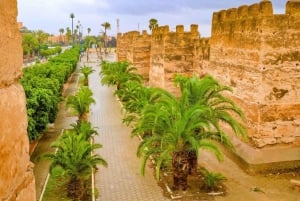 Marrakech: dagtrip naar Taroudant met lunch