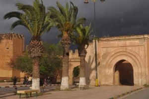 Marrakech: dagtrip naar Taroudant met lunch