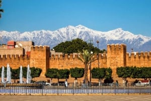 Marrakech: dagtrip naar Taroudant met lunch