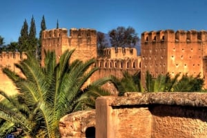 Marrakech: dagtrip naar Taroudant met lunch