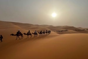 De Marrakech a Agadir: tour de 3 días por el desierto del Sahara
